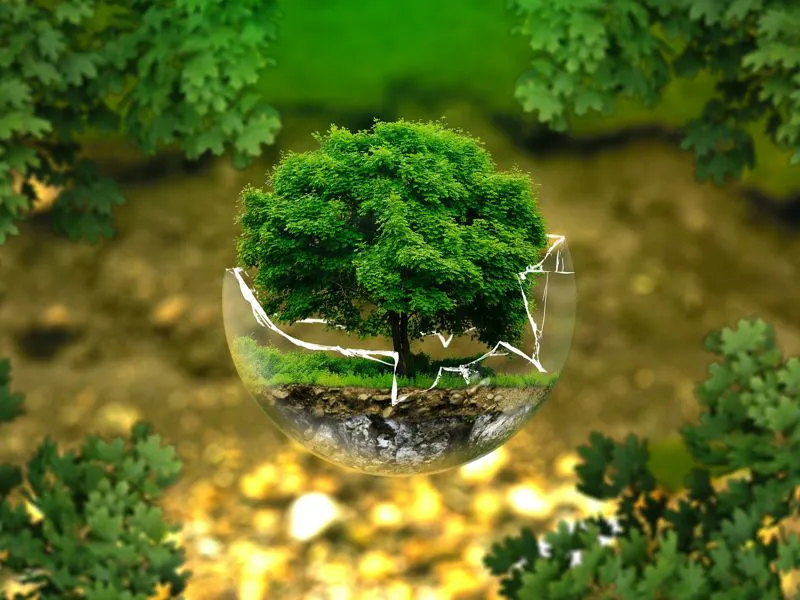 Criteri Ambientali