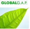 partner-image